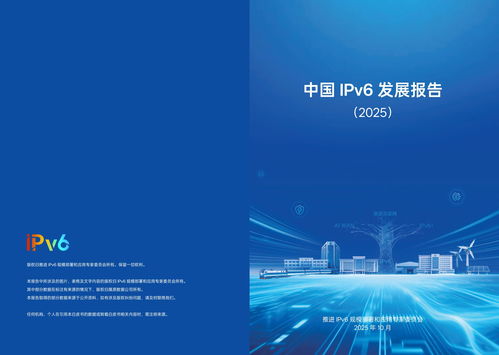 IPv6在我國(guó)實(shí)現(xiàn)跨越式突破 網(wǎng)絡(luò)技術(shù)開(kāi)發(fā)驅(qū)動(dòng)2025年活躍用戶達(dá)8.65億